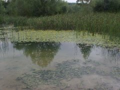 phoca_thumb_l_l000.jpg