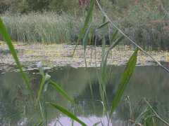 phoca_thumb_l_l004.jpg