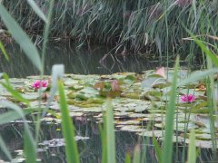 phoca_thumb_l_l005.jpg