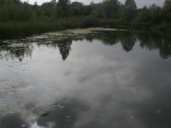 phoca_thumb_l_l009.jpg